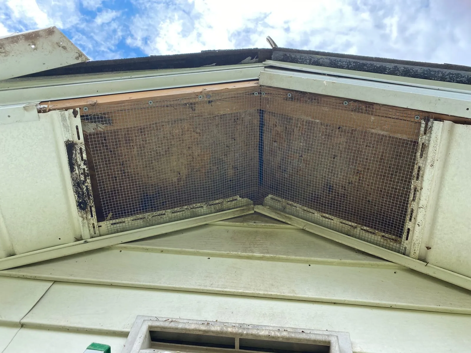 Hardware cloth screening installed over gable vent openings stained by wildlife activity
