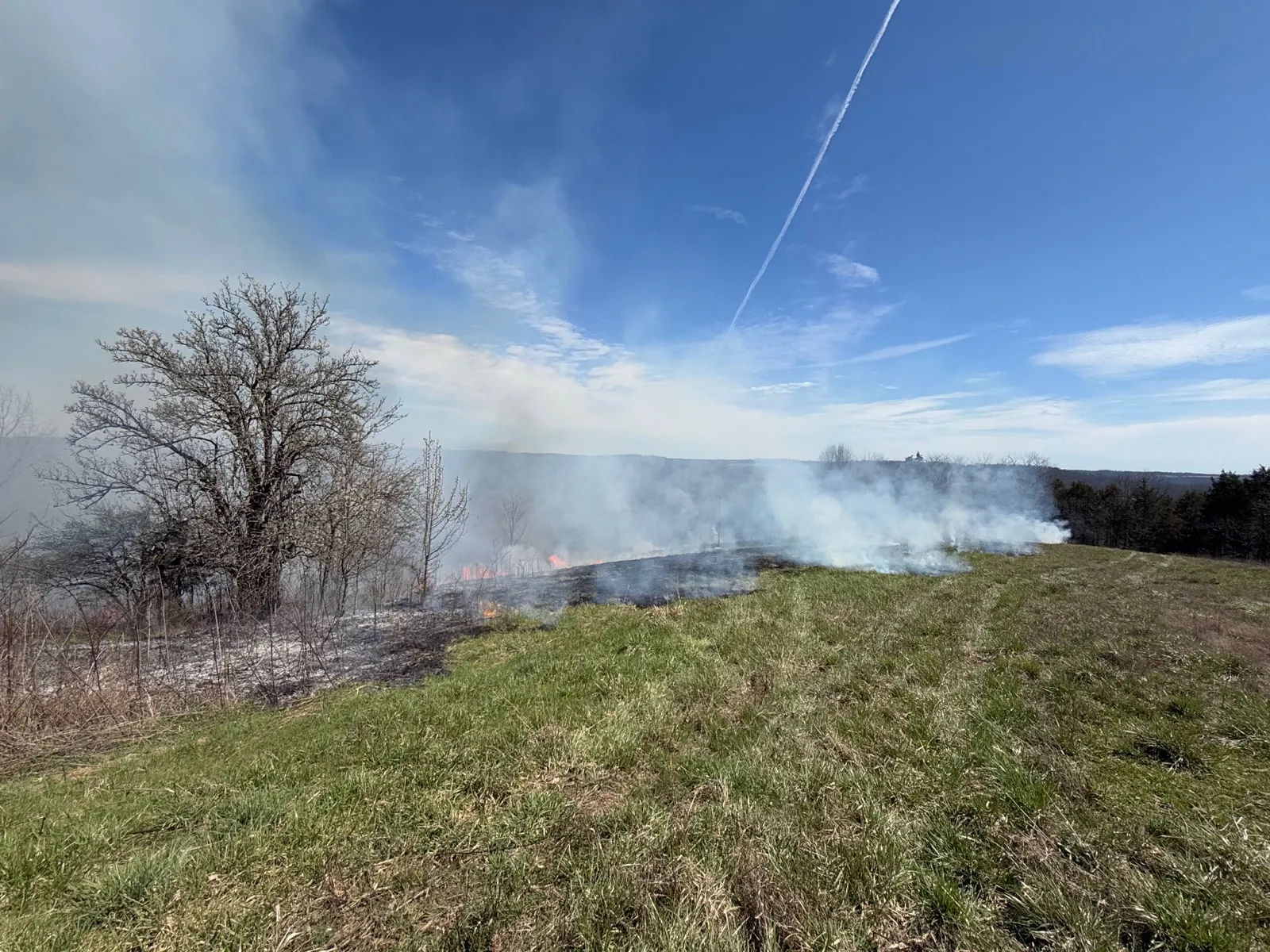 Wide view of a prescribed burn with smoke drifting along a field edge, green grass in the foreground