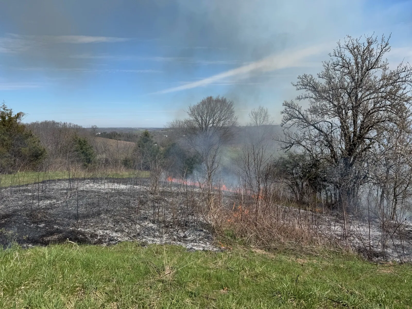 Flame front of a prescribed fire creeping through brush on a hillside, with blackened burned ground behind it