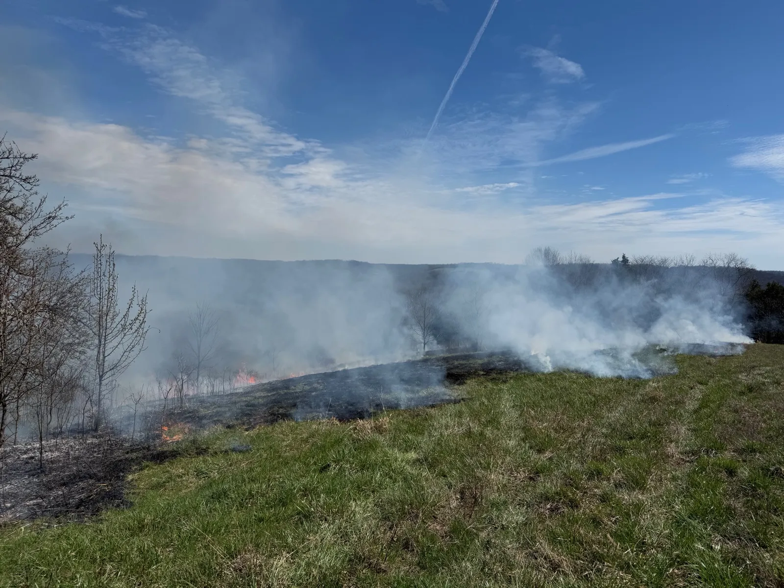 Smoke rising from a low prescribed fire burning across a brushy hillside under a blue sky