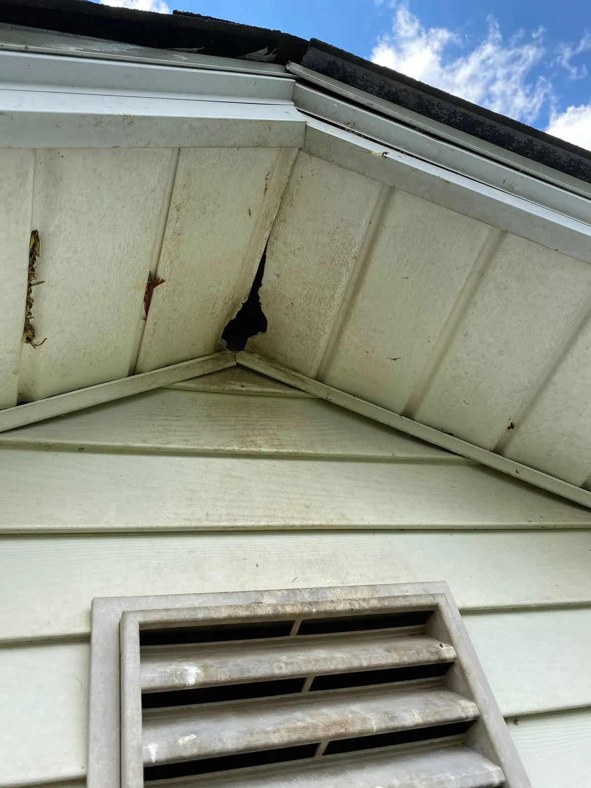 Hole chewed through the soffit at the peak of a gable, a common wildlife entry point